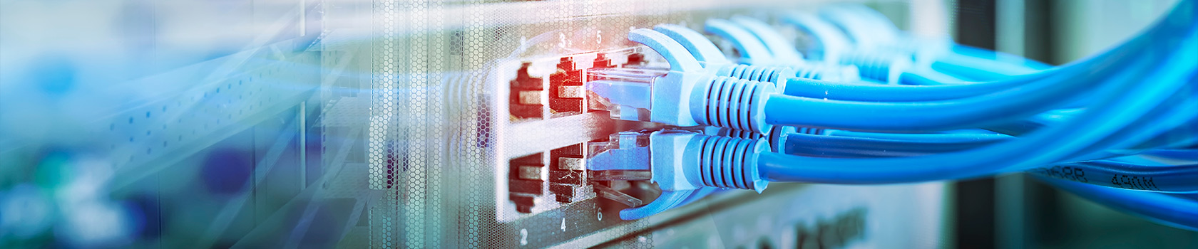 Infrastructure réseau et connectivité