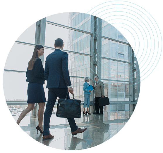 cerchio-dacom-idmaint