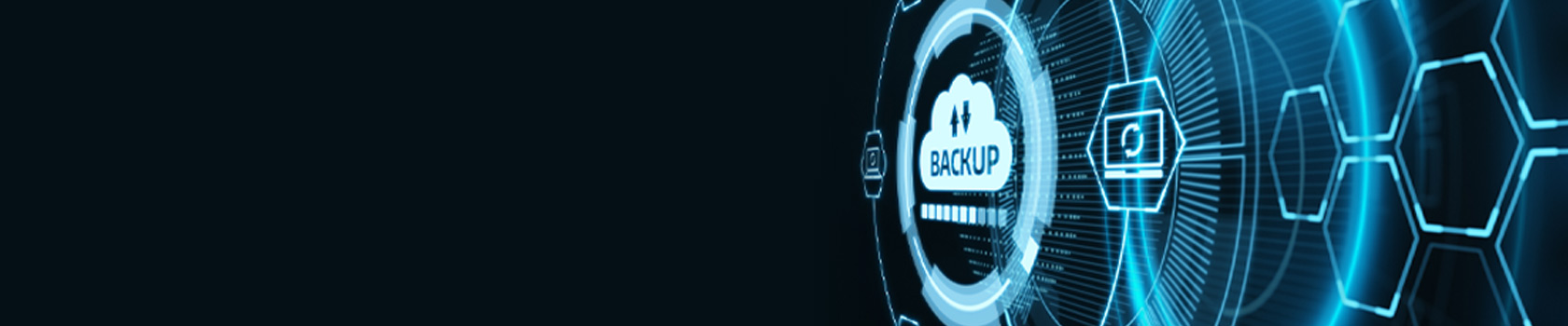 Backup and disaster recovery